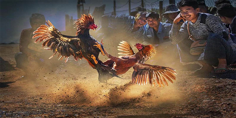 sun88 chơi bắn cá đổi thưởng