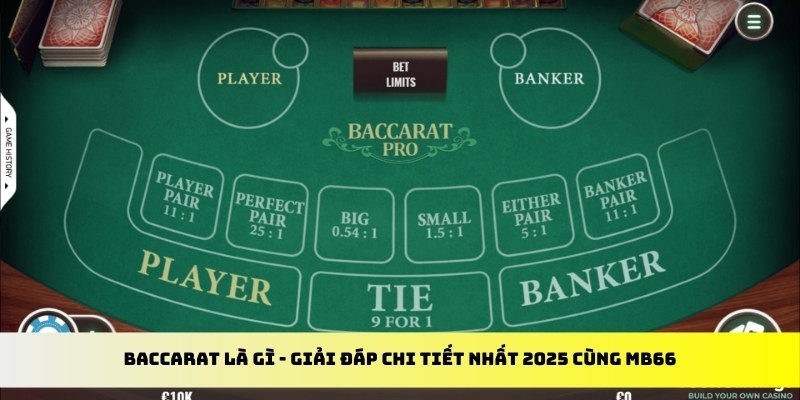 sun88 gà chọi cu cần