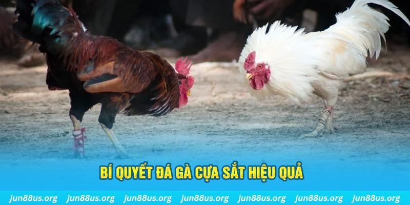 sun88 xin 1 slot là gì