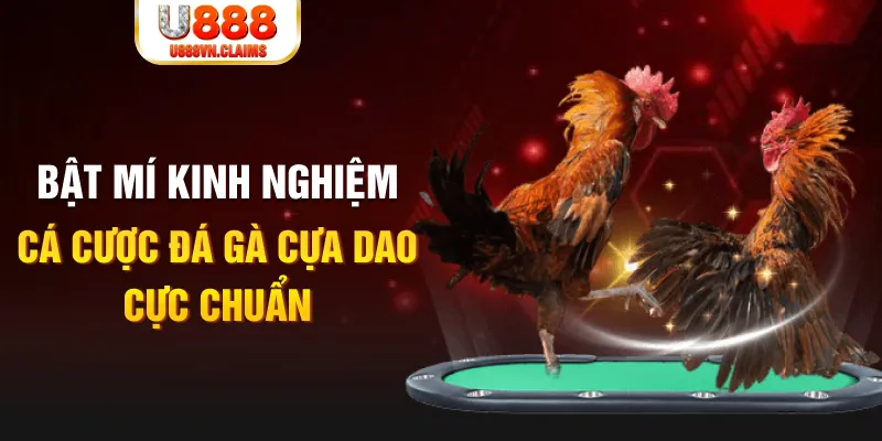 sun88 tỷ lệ cá cược châu á là gì