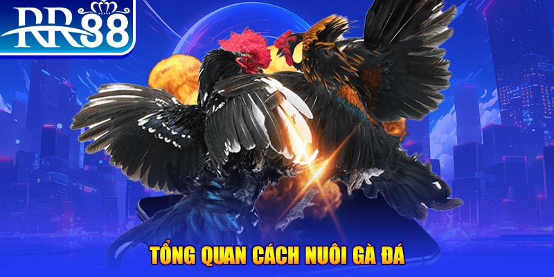 sun88 VA Điện Tử