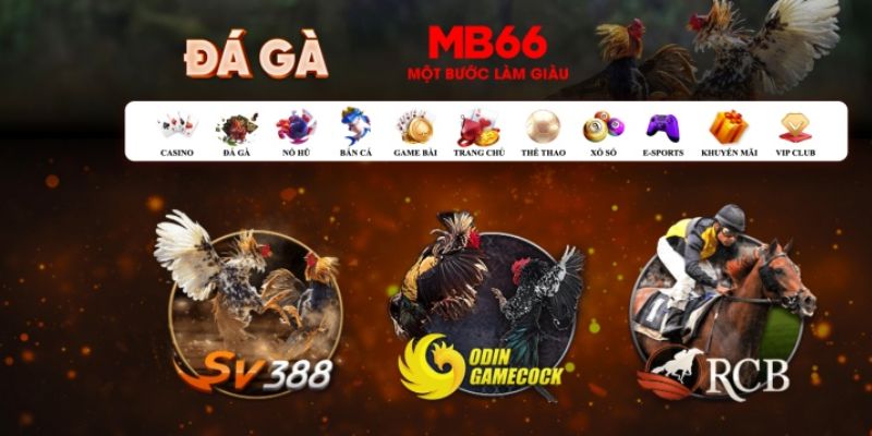 sun88 đăng nhập poker số 1