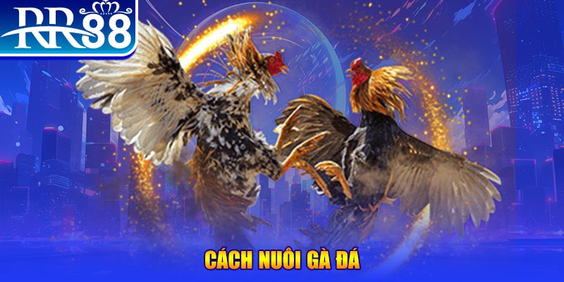 sun88 xổ số an giang