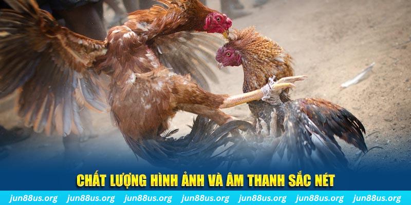 sun88 đăng nhập roulette live