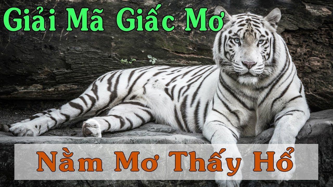 sun88 xổ số 3 miền