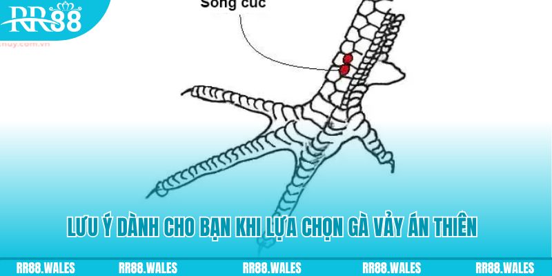 sun88 xổ số đồng nai