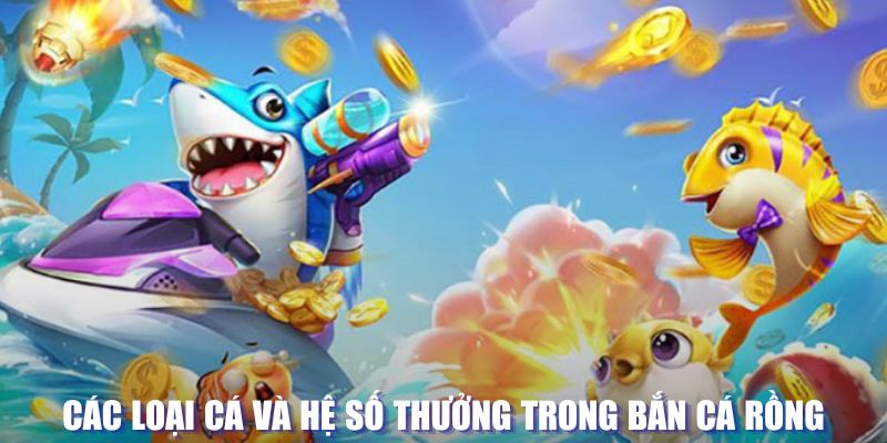 sun88 đăng nhập sòng bạc mới nhất