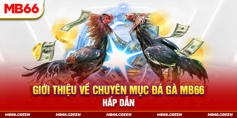 sun88 đăng nhập sòng bạc đổi thưởng