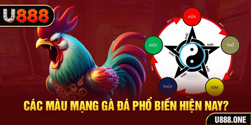 sun88 trực tiếp đá gà 88