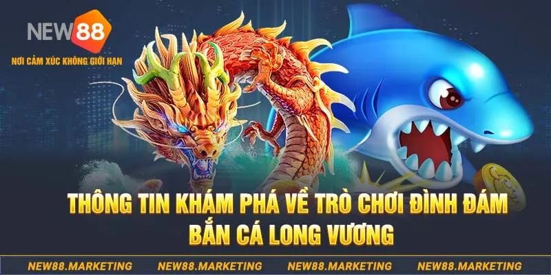sun88 baccarat lừa đảo như thế nào