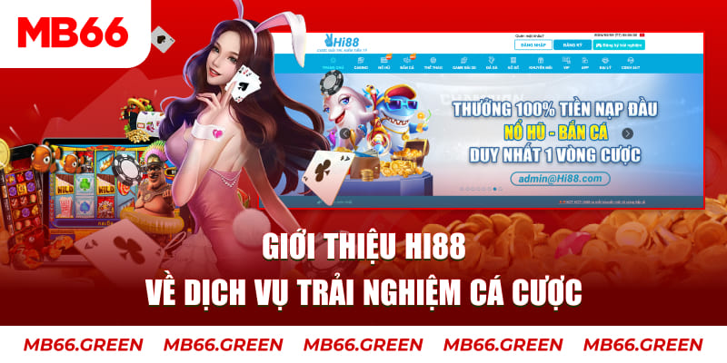 sun88 ga choi hoa phong