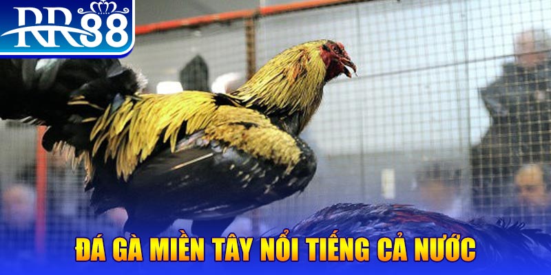 sun88 JILI Game Bài 3d
