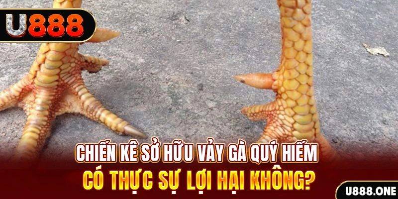 sun88 nohu .mx nổ hủ là gì
