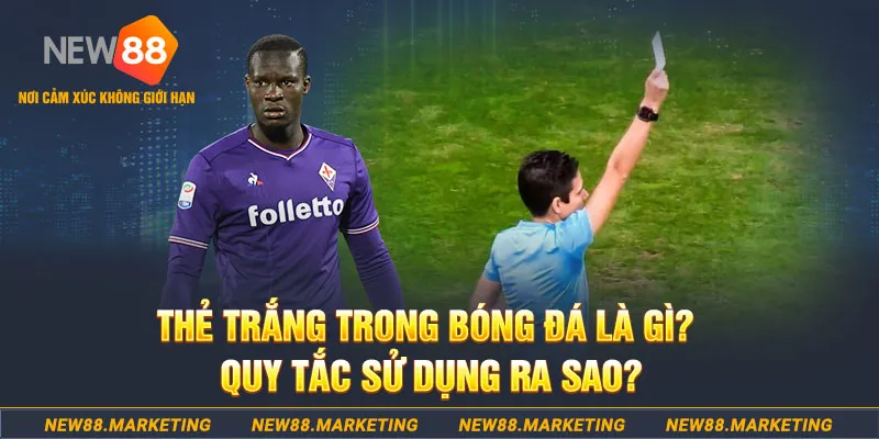 sun88 gà chọi mộc hóa