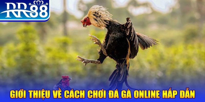 sun88 game nổ hũ rút tiền mặt là gì