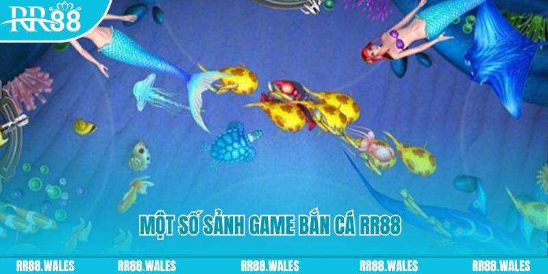 sun88 đăng nhập mậu binh uy tín
