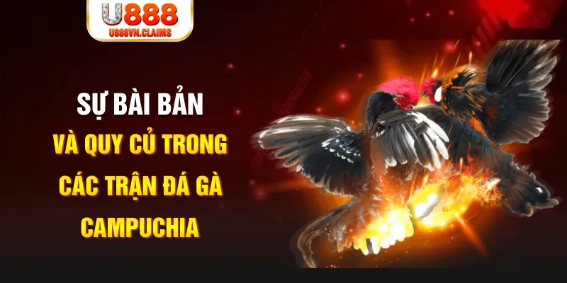 sun88 YGR Điện Tử