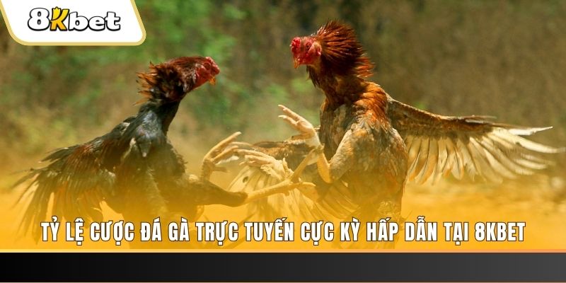 sun88 xổ số trực tiếp miền bắc