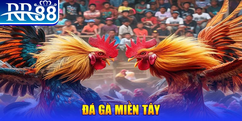 sun88 chơi slot là gì