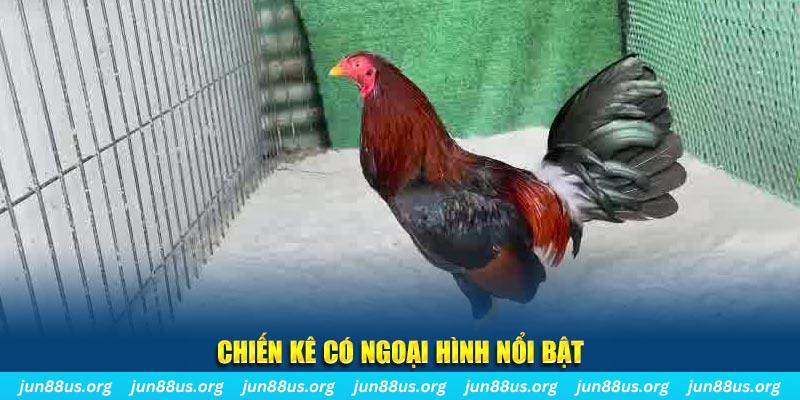 sun88 chạy quảng cáo cho game bài bị phạt như thế nào