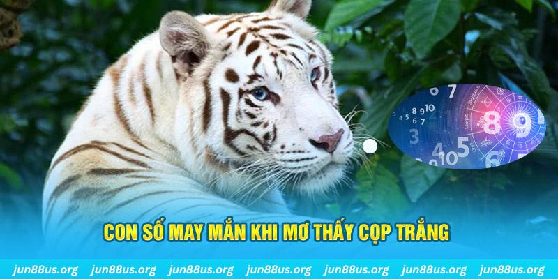 sun88 đá gà trực tiếp 88